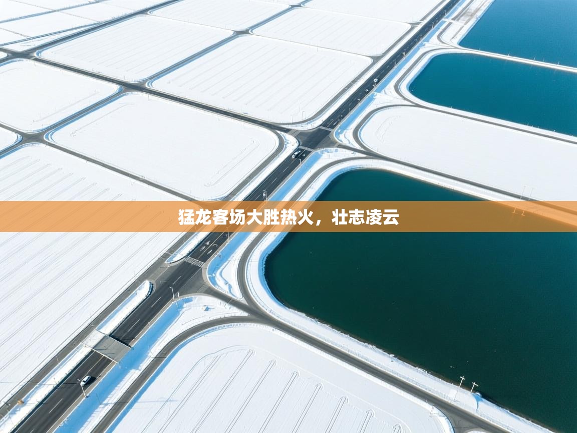 猛龙客场大胜热火，壮志凌云  第1张