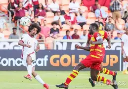 米乐体育网站-阿尔戈斯对阵沙伦高兹的胜利